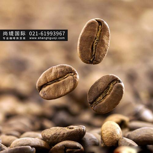 咖啡豆种类,咖啡豆价格表-上海咖啡公司,咖啡工厂,咖啡供货商,进口